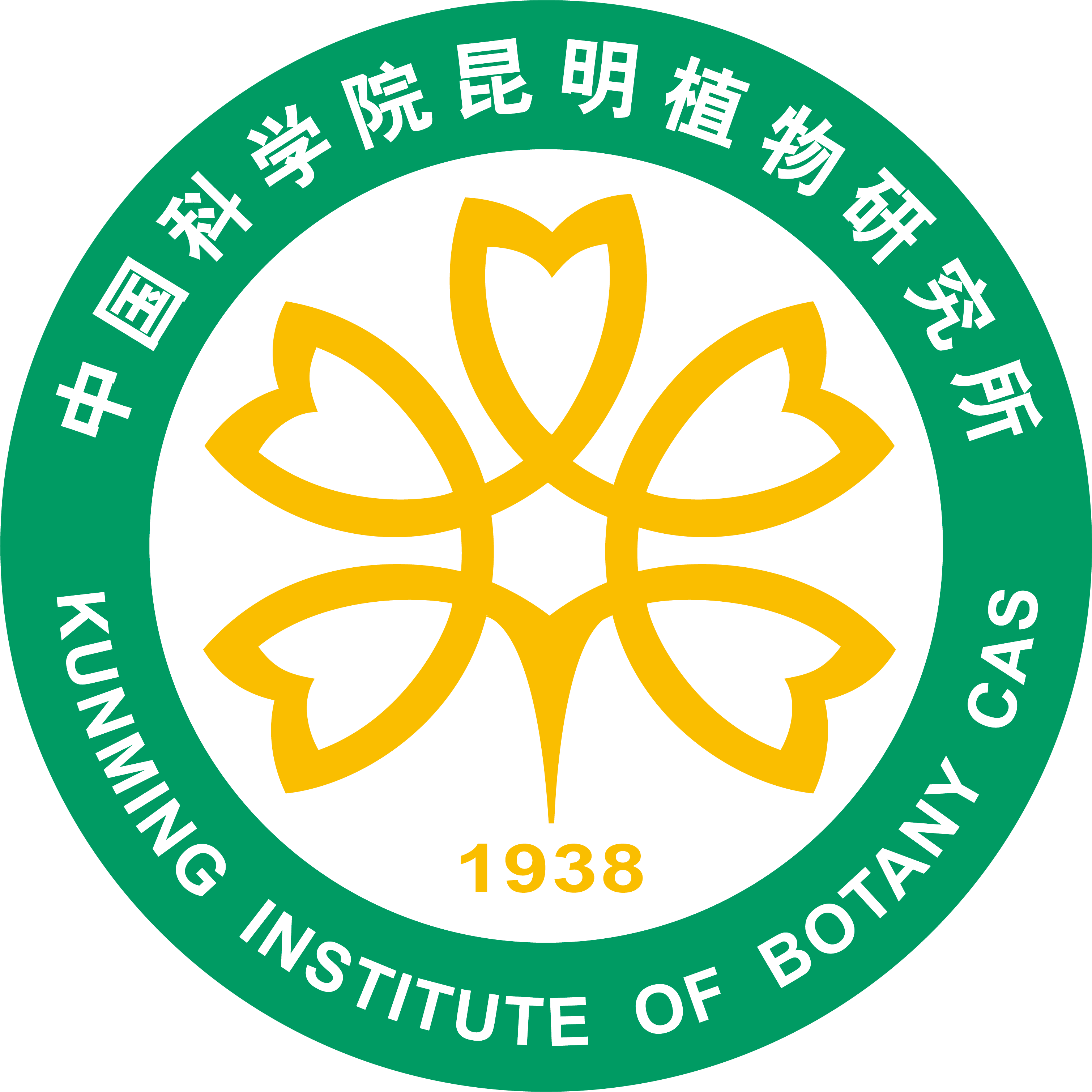 KIB Logo